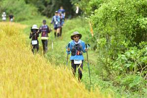 BIB: 
                            <button type="button" onclick="openModal(13436286)" class="btn btn-primary btn-sm float-right btn-popup" data-toggle="modal" data-target=".modal-high-quality">
                        <i class="fas fa-shopping-cart"></i> Add to Cart
                    </button>
                                            <button type="button" onclick="isThisMe(13436286, true)" class="btn btn-success btn-sm float-right btn-popup btn-isme hidden" data-toggle="tooltip" data-placement="bottom" title="นี่คือรูปของคุณใช่ไหม คลิกที่นี่เพื่อเอาเข้าอัลบั้ม">
                        <i class="fas fa-plus"></i> Add to album
                    </button>
                    <button type="button" onclick="isThisMe(13436286, false)" class="btn btn-warning btn-sm float-right btn-popup btn-isnotme hidden">
                        <i class="fas fa-ban"></i> Remove from album
                    </button>